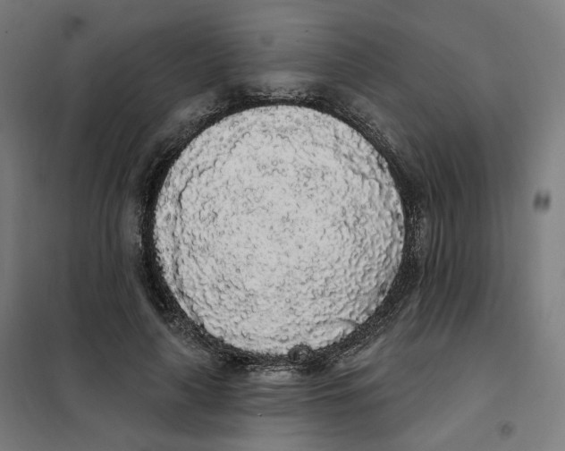 X0000101230643200807251135