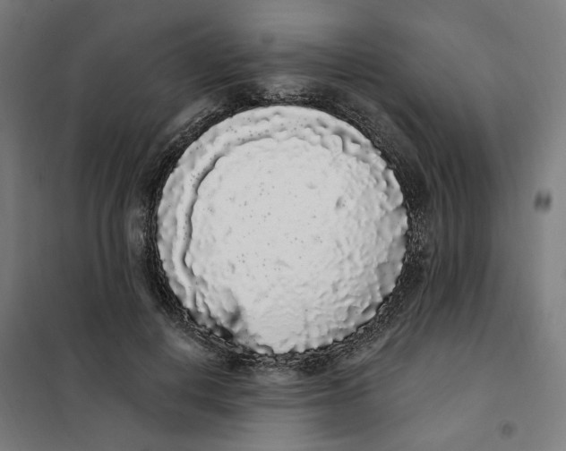 X0000101230648200807251135