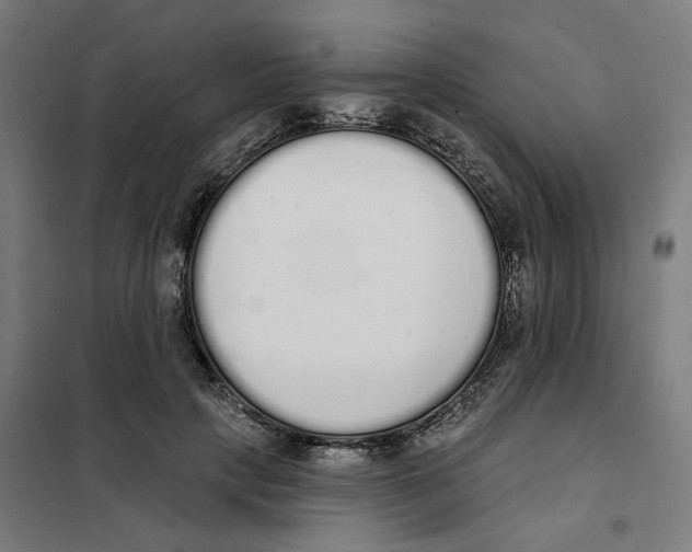 X0000101230649200807251135