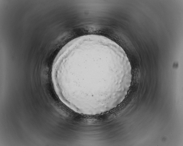 X0000101230650200807251135