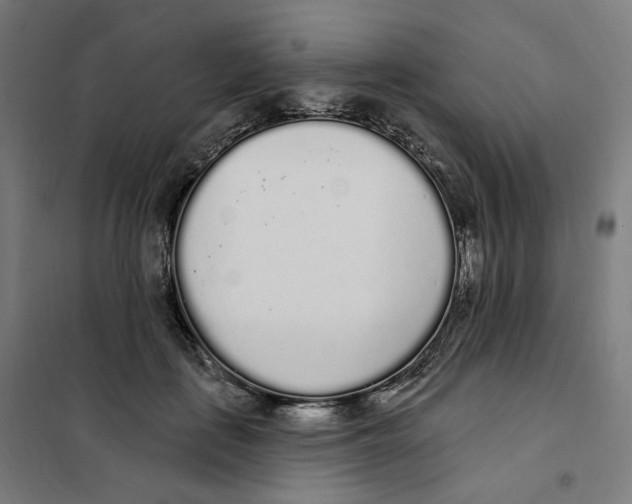 X0000101230651200807251135