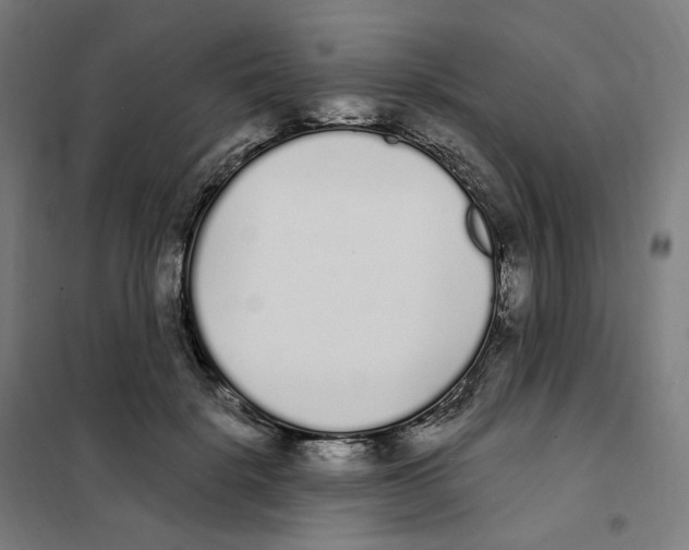 X0000101230652200807251135