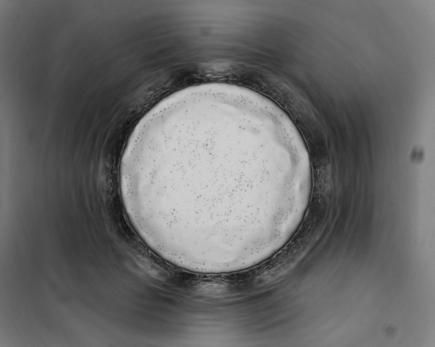 X0000101230653200807251135