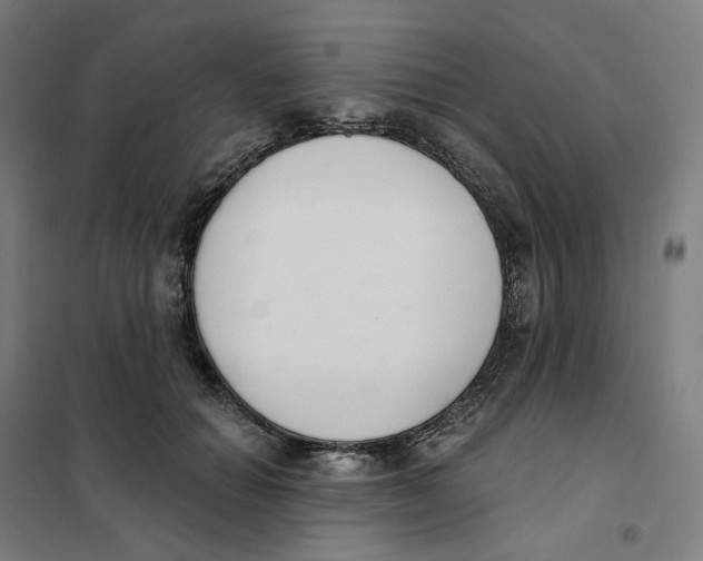 X0000101230654200807251135