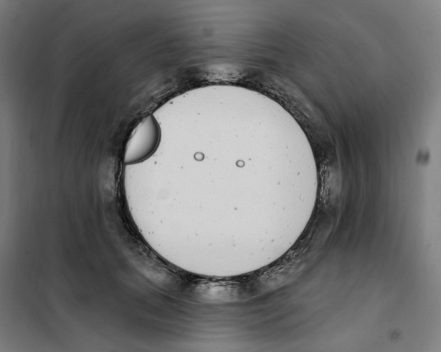X0000101230655200807251135