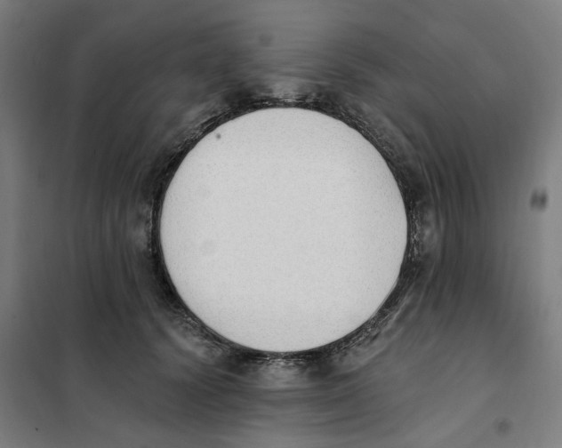 X0000101230656200807251135