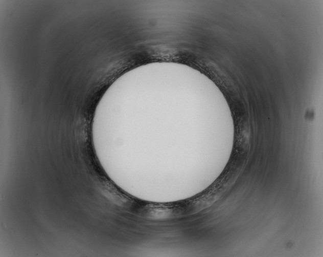X0000101230658200807251135