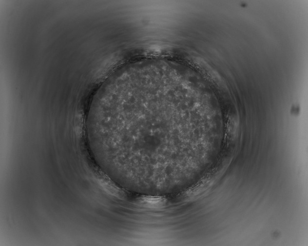 X0000101230659200807251135