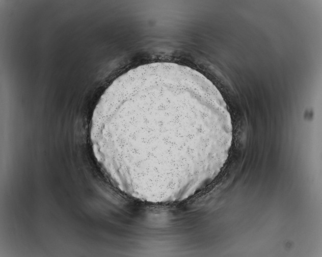 X0000101230661200807251135