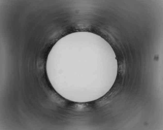 X0000101230662200807251135