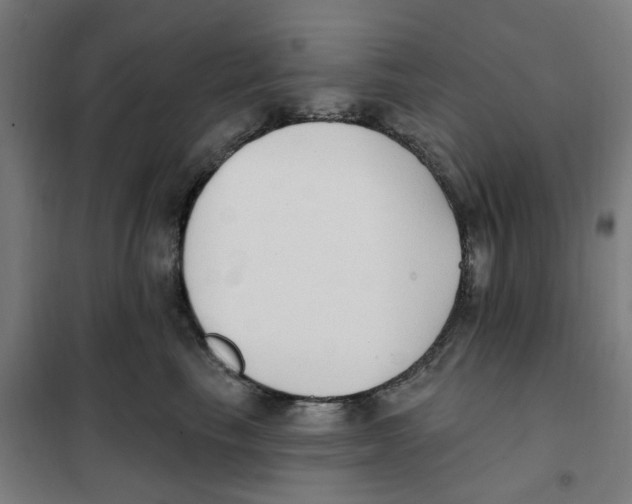 X0000101230665200807251135
