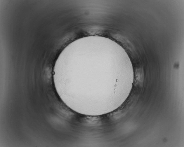 X0000101230667200807251135