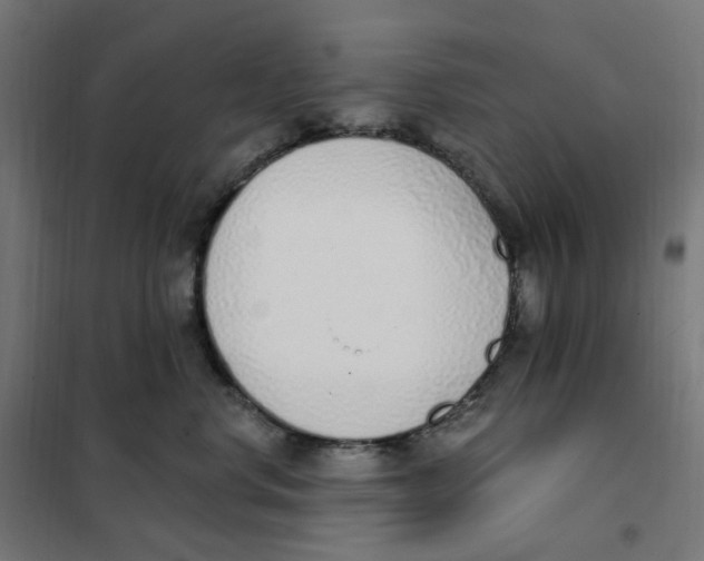 X0000101230668200807251135