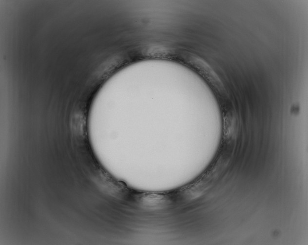 X0000101230669200807251135