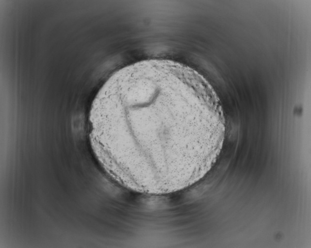 X0000101230670200807251135