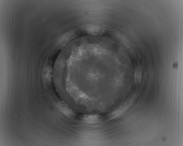 X0000101230671200807251135
