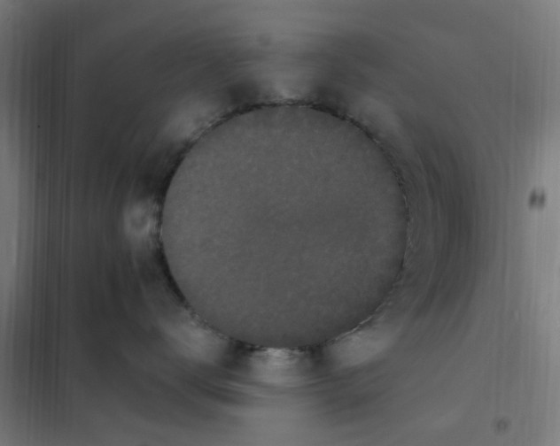 X0000101230672200807251135