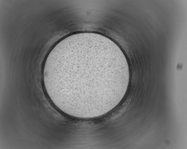 X0000101230673200807251135
