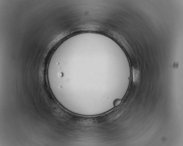 X0000101230675200807251135