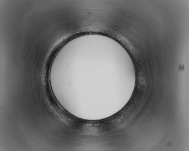 X0000101230680200807251135