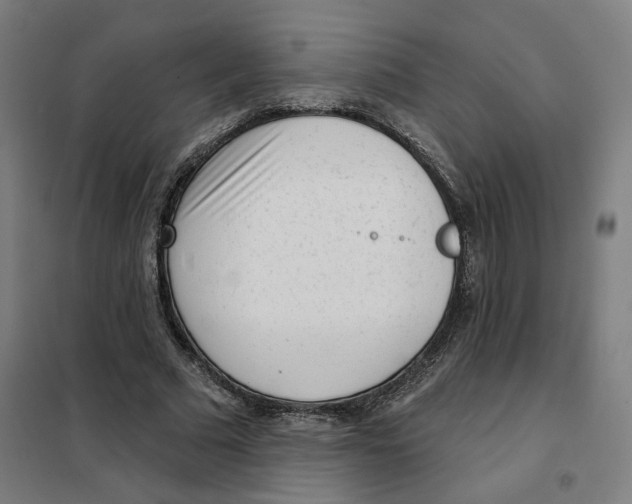 X0000101230681200807251135