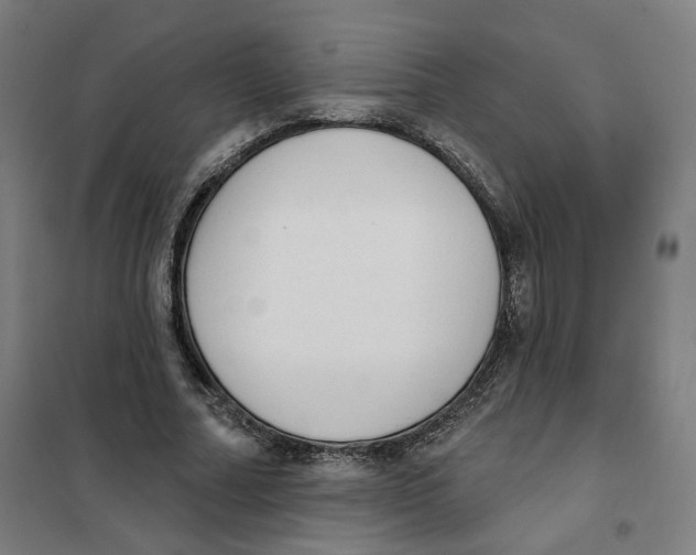 X0000101230682200807251135