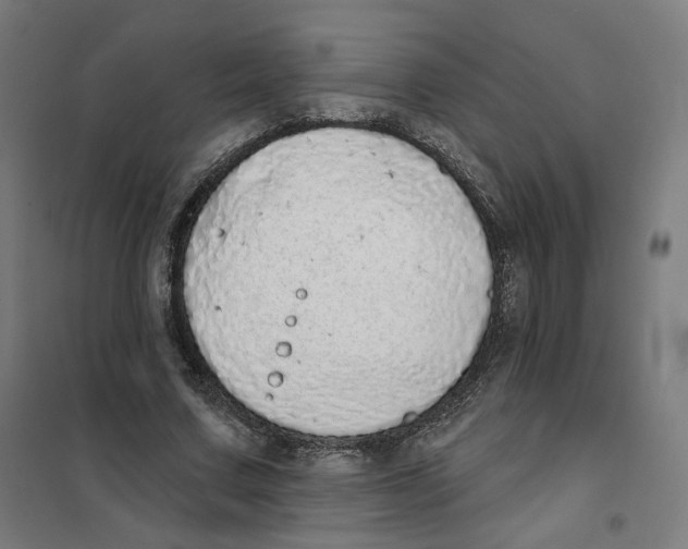 X0000101230683200807251135