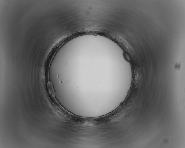 X0000101230684200807251135