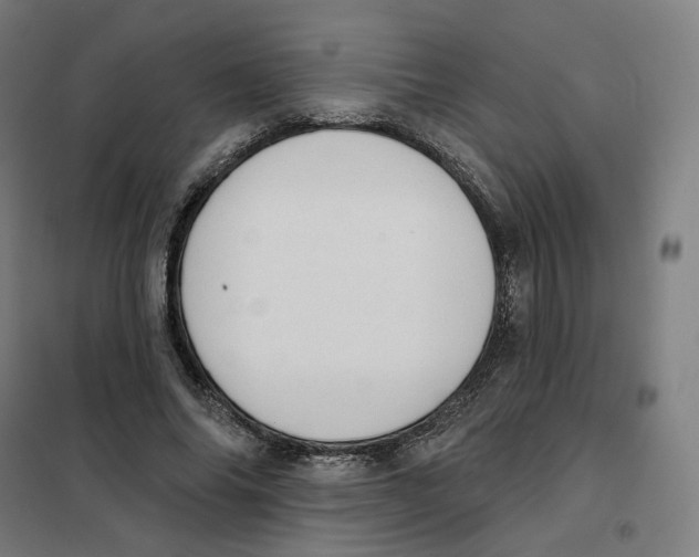 X0000101230686200807251135