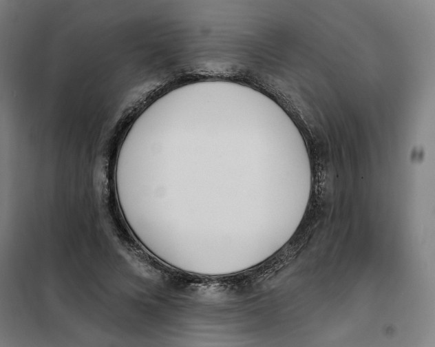X0000101230688200807251135