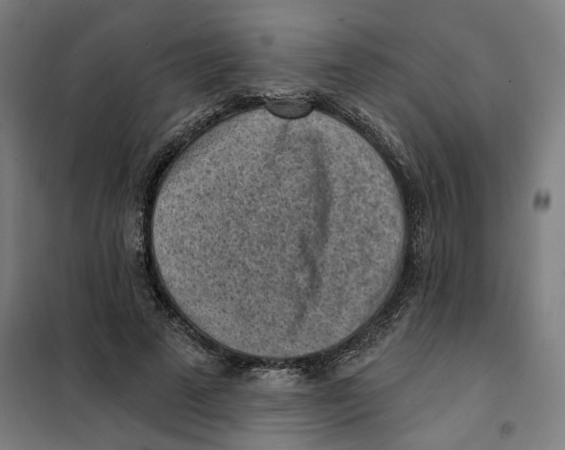 X0000101230689200807251135