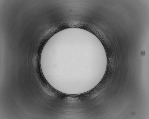 X0000101230690200807251135