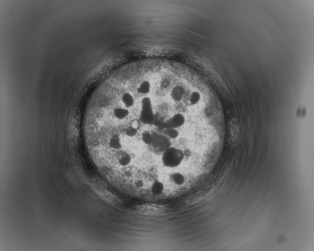 X0000101230691200807251134
