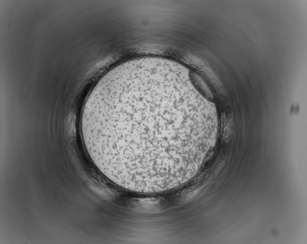 X0000101230692200807251134
