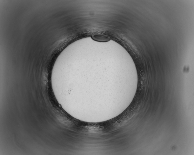 X0000101230693200807251134