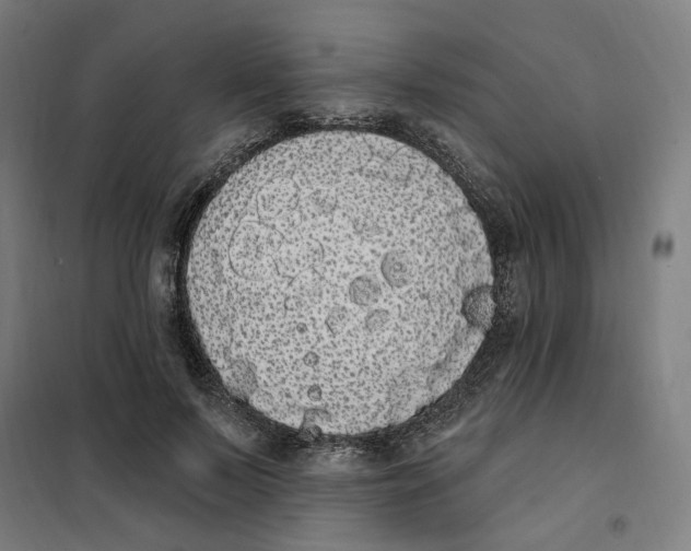X0000101230695200807251134