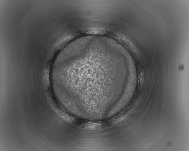 X0000101230696200807251134