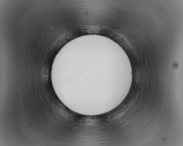 X0000101230697200807251134
