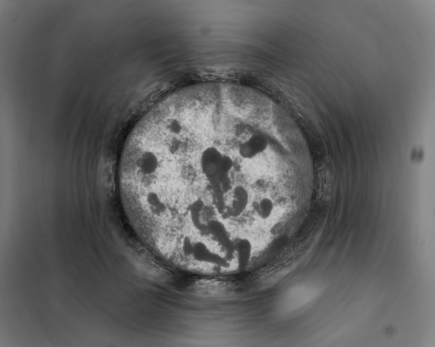 X0000101230699200807251134