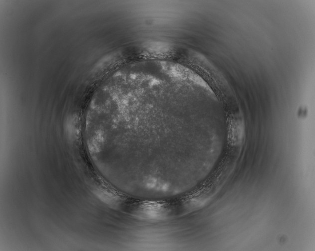 X0000101230701200807251134