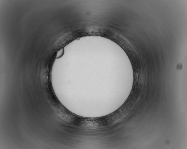 X0000101230702200807251134