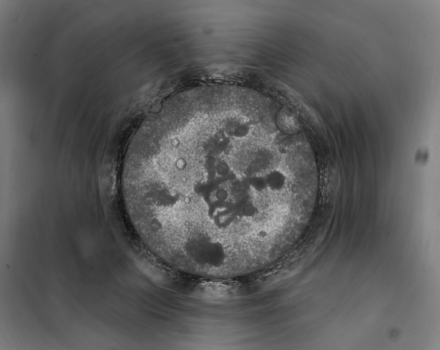 X0000101230703200807251134