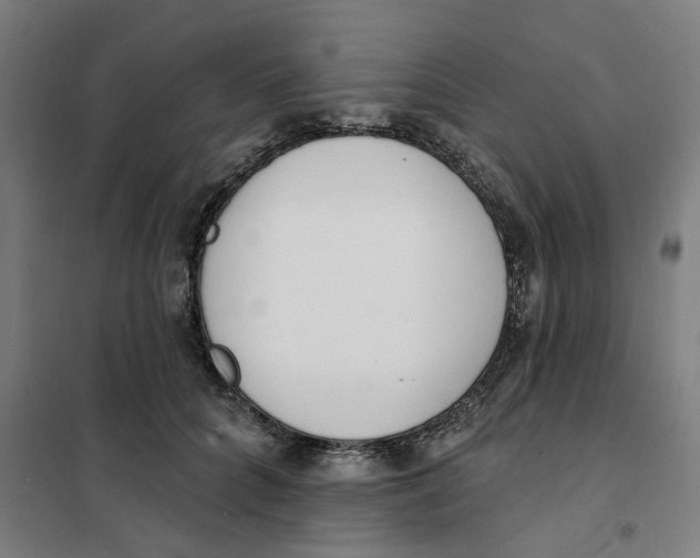 X0000101230704200807251134