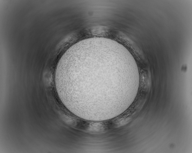X0000101230705200807251134