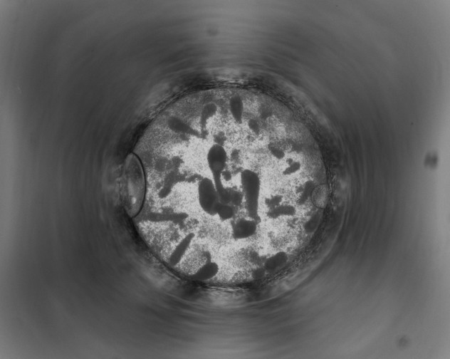 X0000101230707200807251134