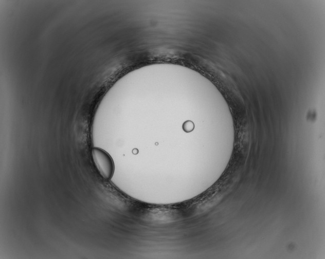 X0000101230708200807251134