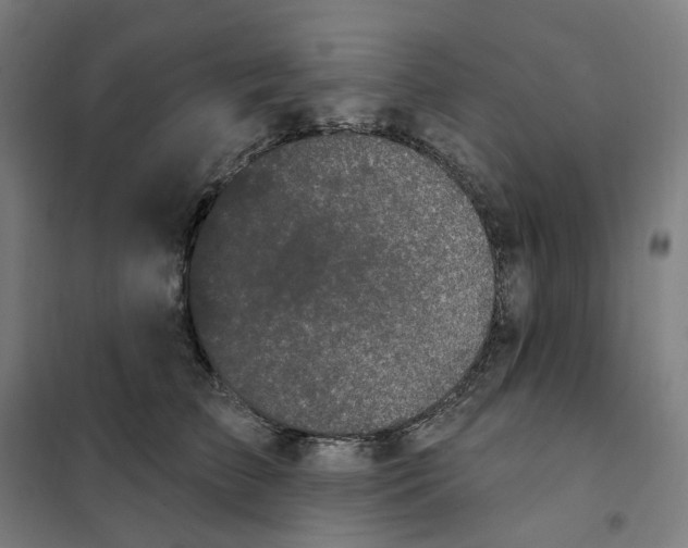 X0000101230709200807251134