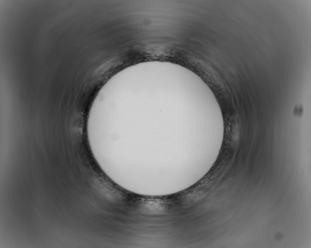 X0000101230710200807251134