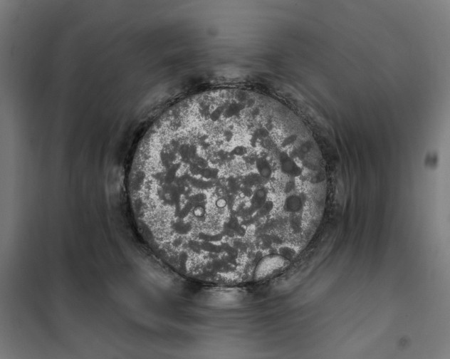 X0000101230711200807251134
