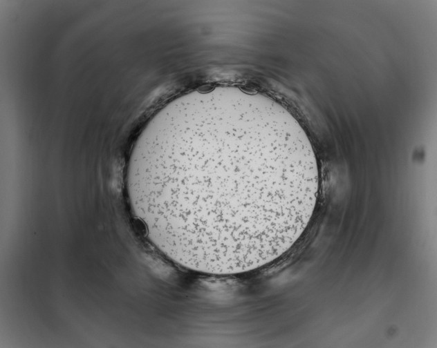 X0000101230712200807251134